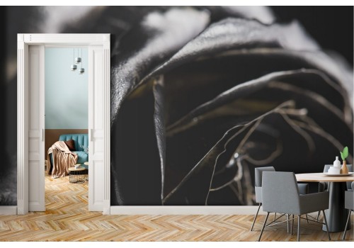 Giant black pink wallpaper photo