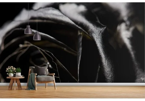 Carta da Parati rosa nera gigantografia foto 2