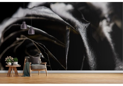 Giant black pink wallpaper photo 2