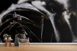 Carta da Parati rosa nera gigantografia foto