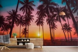Tropical Wallpaper Sunrise Sunset