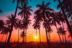 Wallpaper Landscapes and Tropical Nature Sunrise Sunset