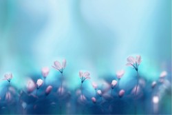 Carta da Parati Paesaggi e Natura Bambini Foglie e Fiori Paesaggi