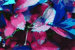 Wallpaper Design and Styles Abstract Flora and Fauna Modern Leaves Nature