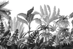 Carta da Parati Design e Stili Flora e Fauna Alberi Foglie Tropicale