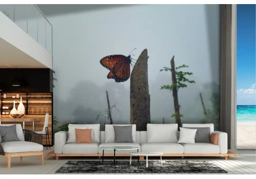 Butterfly wallpaper in the tropical forest