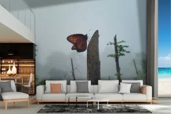 Butterfly Wallpaper in the Tropical Forest