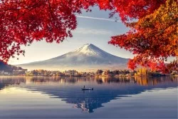 Carta da Parati Paesaggi e Natura Montagna Foglie e Fiori