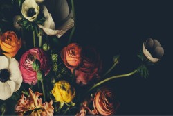 Carta da Parati Design e Stili Flora e Fauna Fiori Natura Vintage