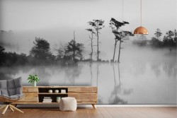 Wallpaper Rivers Waterfalls Lakes Forests and Trees