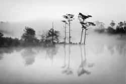 Wallpaper Landscapes and Nature Rivers Waterfalls Lakes Forests and Trees