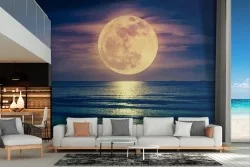 Carta da Parati paesaggio mare con luna romantica