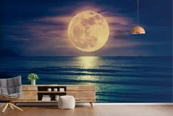 Beach and Sea Wallpaper