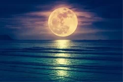 Wallpaper Landscapes and Nature Beach and Sea