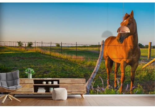 Wallpaper countryside landscape with horse