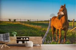 Wallpaper countryside landscape with horse
