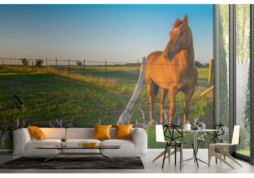 Wallpaper countryside landscape with horse 2