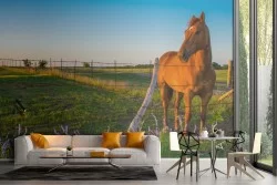 Wallpaper countryside landscape with horse