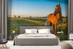 Animal Wallpaper Meadows and Hills