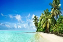 Carta da Parati Paesaggi e Natura Spiaggia e Mare Tropicale