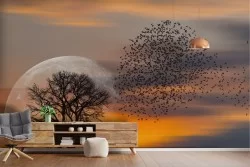 Carta da Parati Alba Tramonto Cielo Foreste e Alberi