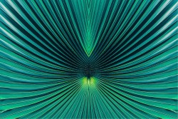 Flora and Fauna Tropical Leaves Wallpaper