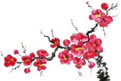 Wallpaper Design and Styles Flora and Fauna Trees Flowers Oriental zen