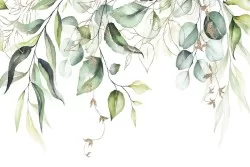 Wallpaper Design and Styles Flora and Fauna Leaves Nature