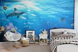 Carta da Parati Animali uccelli Mondo acquatico Paesaggi