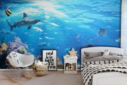 Wallpaper Animals Birds Aquatic World Landscapes