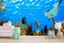 Underwater nature wallpaper with fish and corals
