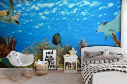 Wallpaper animals Aquatic world Landscapes