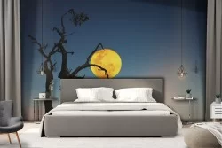 Wallpaper Rivers Waterfalls Lakes Forests and Trees