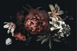 Wallpaper Design and Styles Flora and Fauna Flowers Nature