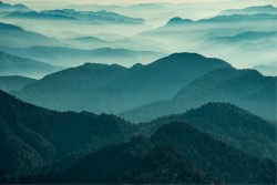 Carta da Parati Paesaggi e Natura Foreste e Alberi Montagna