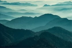 Wallpaper Landscapes and Nature Forests and Trees Mountain