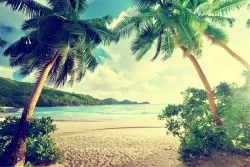 Carta da Parati Paesaggi e Natura Spiaggia e Mare Tropicale