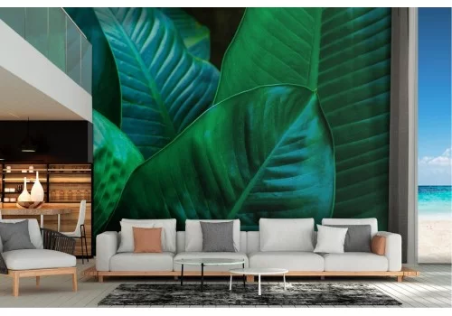 Carta da Parati foglie tropicali natura verde moderna