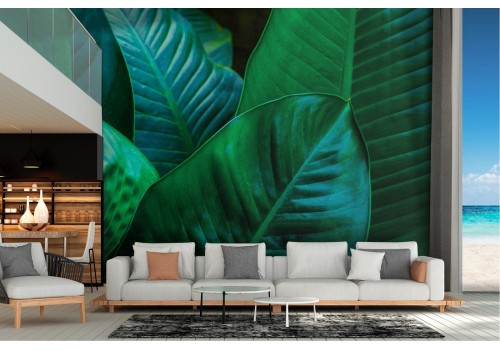 Modern green tropical leaves nature wallpaper