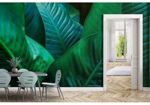 Carta da Parati foglie tropicali natura verde moderna 2