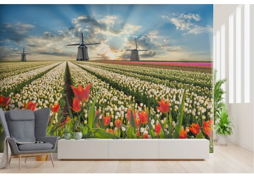 Wallpaper nature blooming meadow