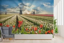 Carta da Parati natura prato fiorito