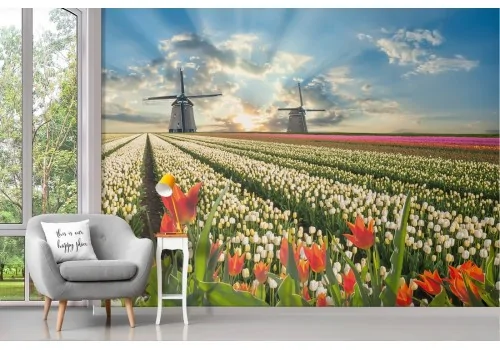 Wallpaper nature blooming meadow 2