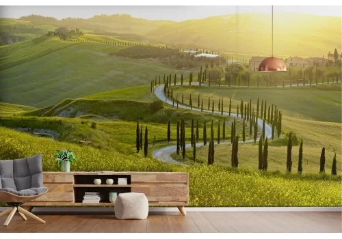 Carta da Parati paesaggio colline con viale alberato