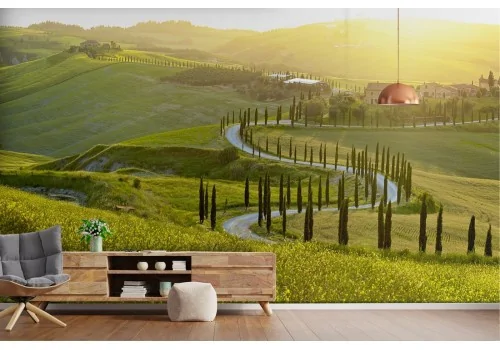 Wallpaper landscape hills with tree-lined avenue