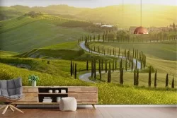 Wallpaper landscape hills with tree-lined avenue