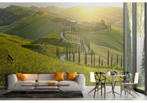 Carta da Parati paesaggio colline con viale alberato 2