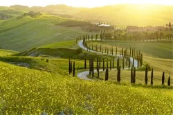 Carta da Parati Paesaggi e Natura Prati e colline
