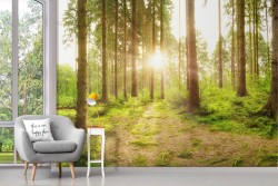 Carta da Parati paesaggio foresta alba tramonto alberi