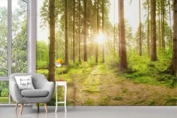 Wallpaper landscape forest sunrise sunset trees
